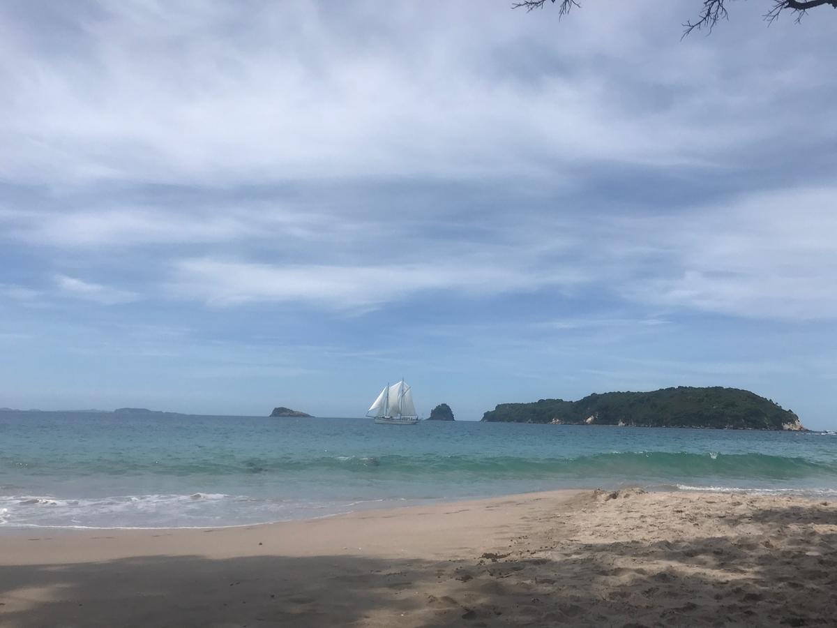 Hahei Getaway公寓 外观 照片